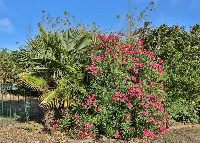Appartamento Résidence Les Dunes- Avec Piscine Les Sables-dʼOlonne